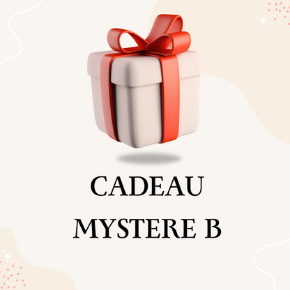 Cadeau mystère B